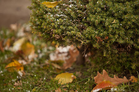 Bröllopsfotograf Anastasiya Gordeeva (gordeevigordeeva). Foto av 14 oktober 2015