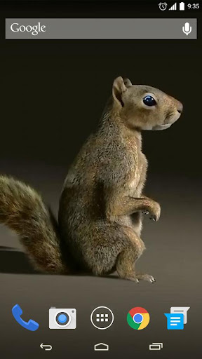 3D Squirrel Live Wallpaper