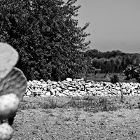 Campagna salentina di 