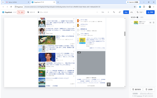 PageGrab screenshot 2