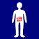 IBD Diary icon