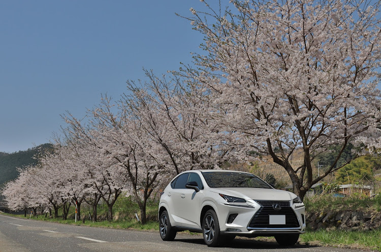 NXの納車から1年経ちました。・ノーマルでも好き・桜コラボ2に関するカスタム事例の投稿画像1枚目
