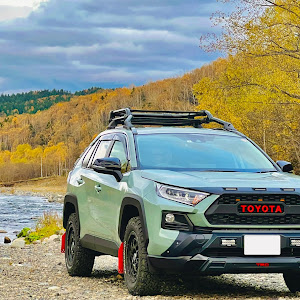 RAV4 MXAA54