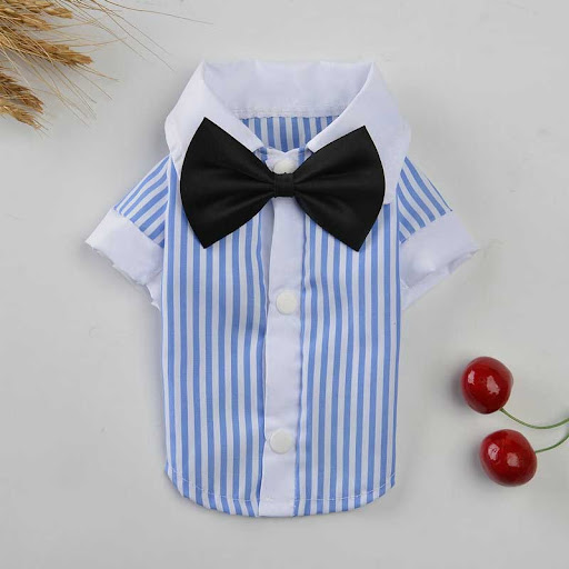 Title 2, Breathable spring and summer pet clothing Keep ...