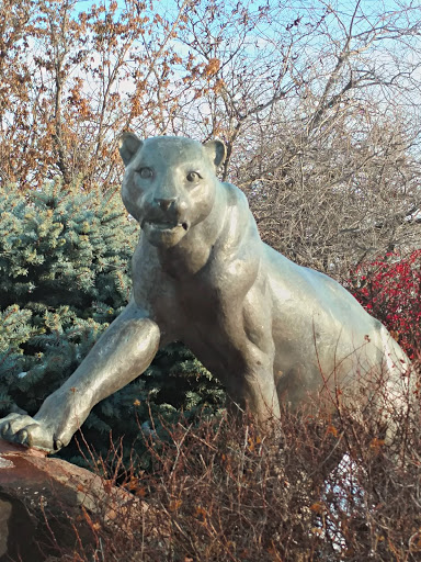 Cougar Statue