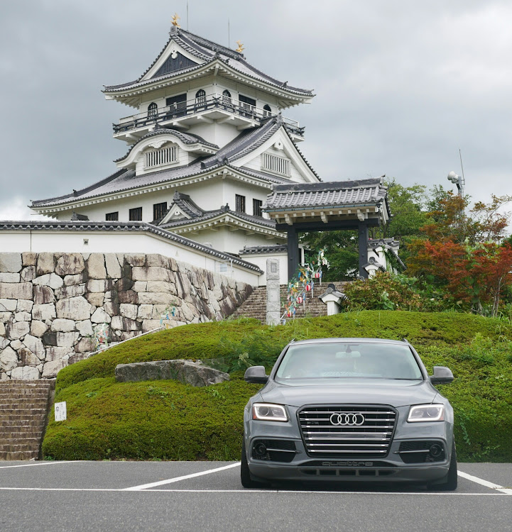 Q5のネズ散歩🐭・正面写真・梅雨明け間近・同じような写真😅・充電中🐭⚡🔌に関するカスタム事例の投稿画像1枚目