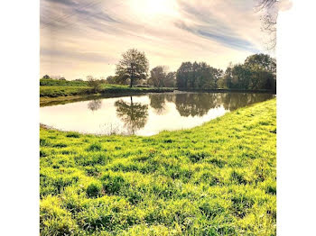 terrain à Montauban-de-Bretagne (35)