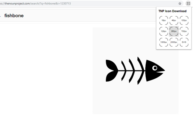TNP Icon Download chrome extension