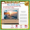 Smart Tivi Tcl 4K 43 Inch 43T65 < Chính Hãng Bh:24 Tháng Tại Nhà Toàn Quốc >