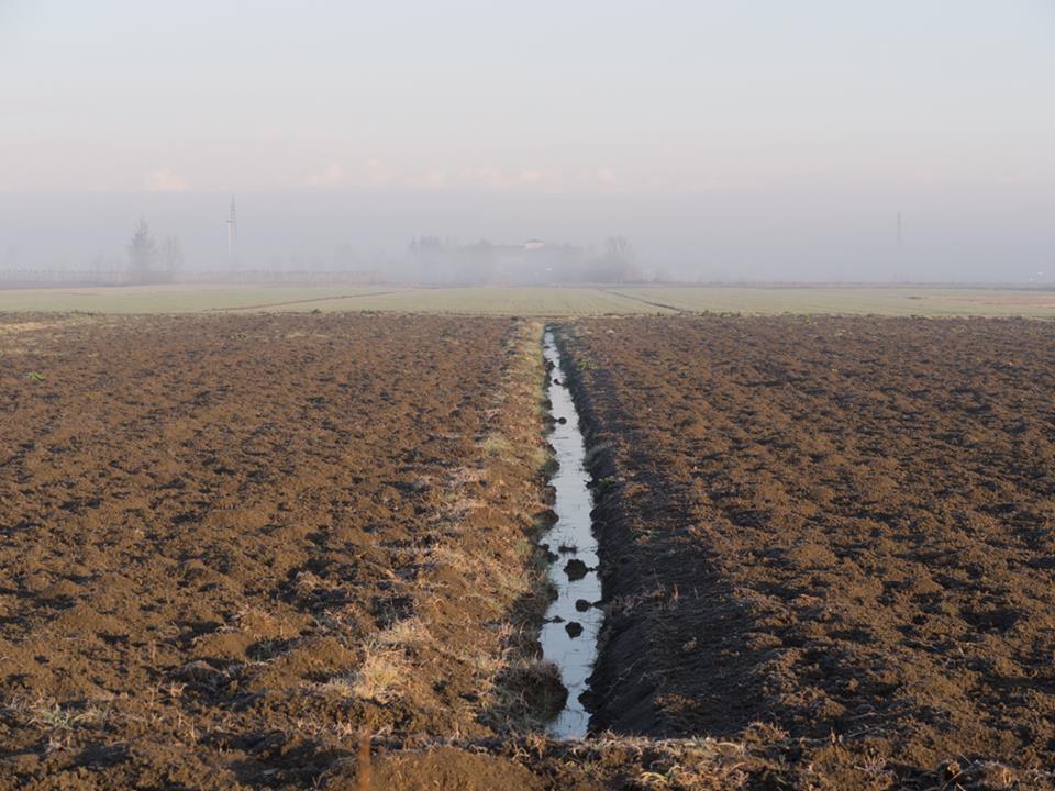 la mia terra di boomerang