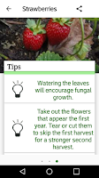 Cultivate Vegetables & Fruits Screenshot