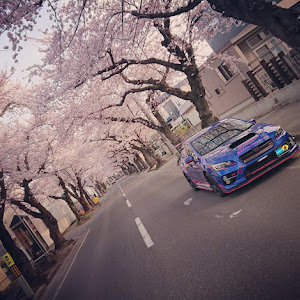 WRX STI VAB