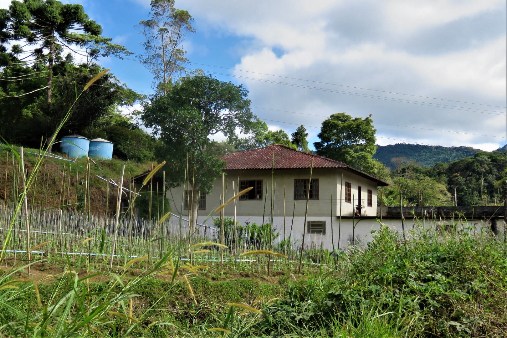 Fazenda / Sítio à venda em Stucky, Nova Friburgo - RJ - Foto 9