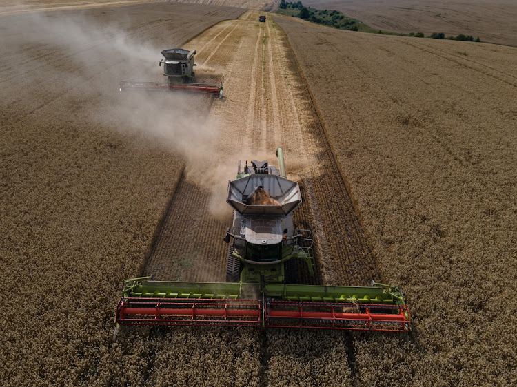 South Africa has shown resilience during the food and energy crises sparked by Russia's invasion of Ukraine, normally one of the world's largest grain exporters, the writer says.