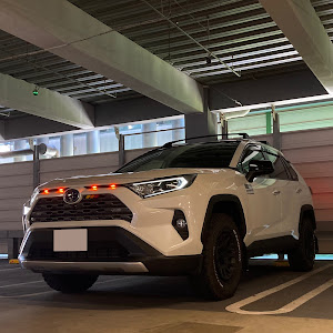 RAV4 AXAH54