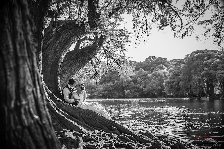 Photographe de mariage Paco Herrera (pacoherrerawp). Photo du 28 juin 2020