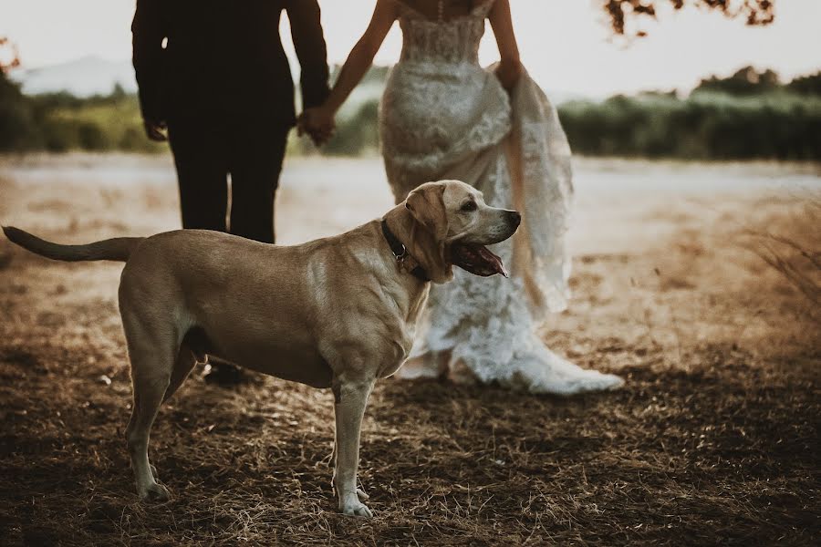 Wedding photographer Franco Raineri (francoraineri). Photo of 19 January 2022