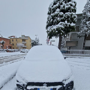 スイフトスポーツ ZC33S