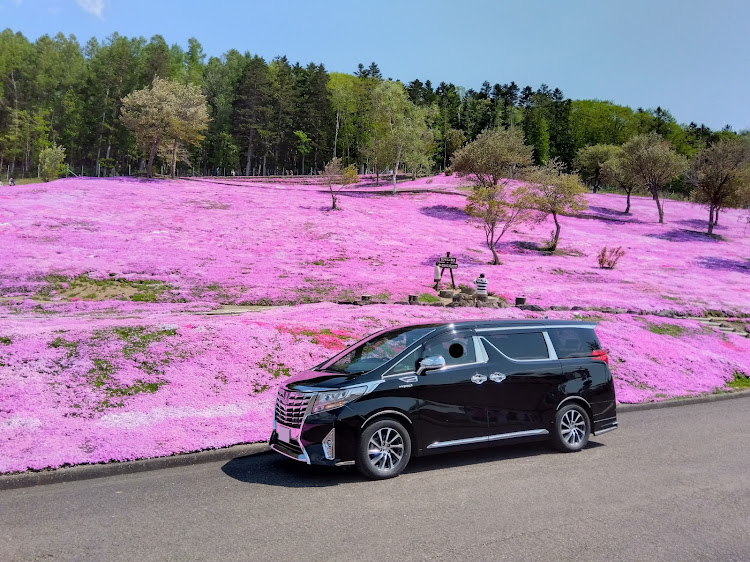 アルファードのアルファード30系・芝桜・芝桜とコラボ・滝上芝桜公園・上湧別チューリップに関するカスタム事例の投稿画像1枚目