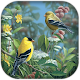 Download 3D Birds Live Wallpaper For PC Windows and Mac 1.0