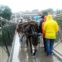 un ponte per tutti di 