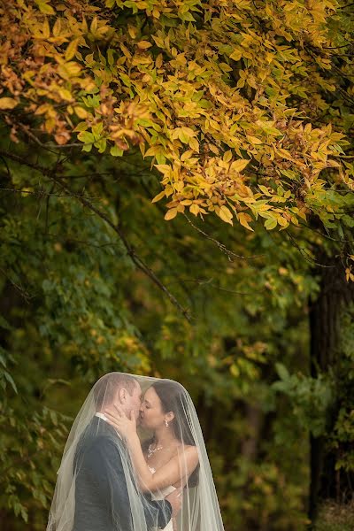 Wedding photographer Olya Shlemenkova (missolka). Photo of 5 October 2014