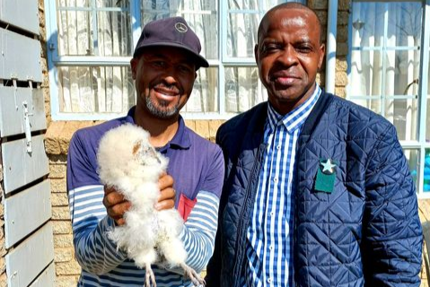 Bishop Romeo Hudson, left, and Jeremiah Rapola rescued a newly hatched barn owl from a block of flats in Soweto. This is the 30th owlet rescue from the same building over the past 10 years.