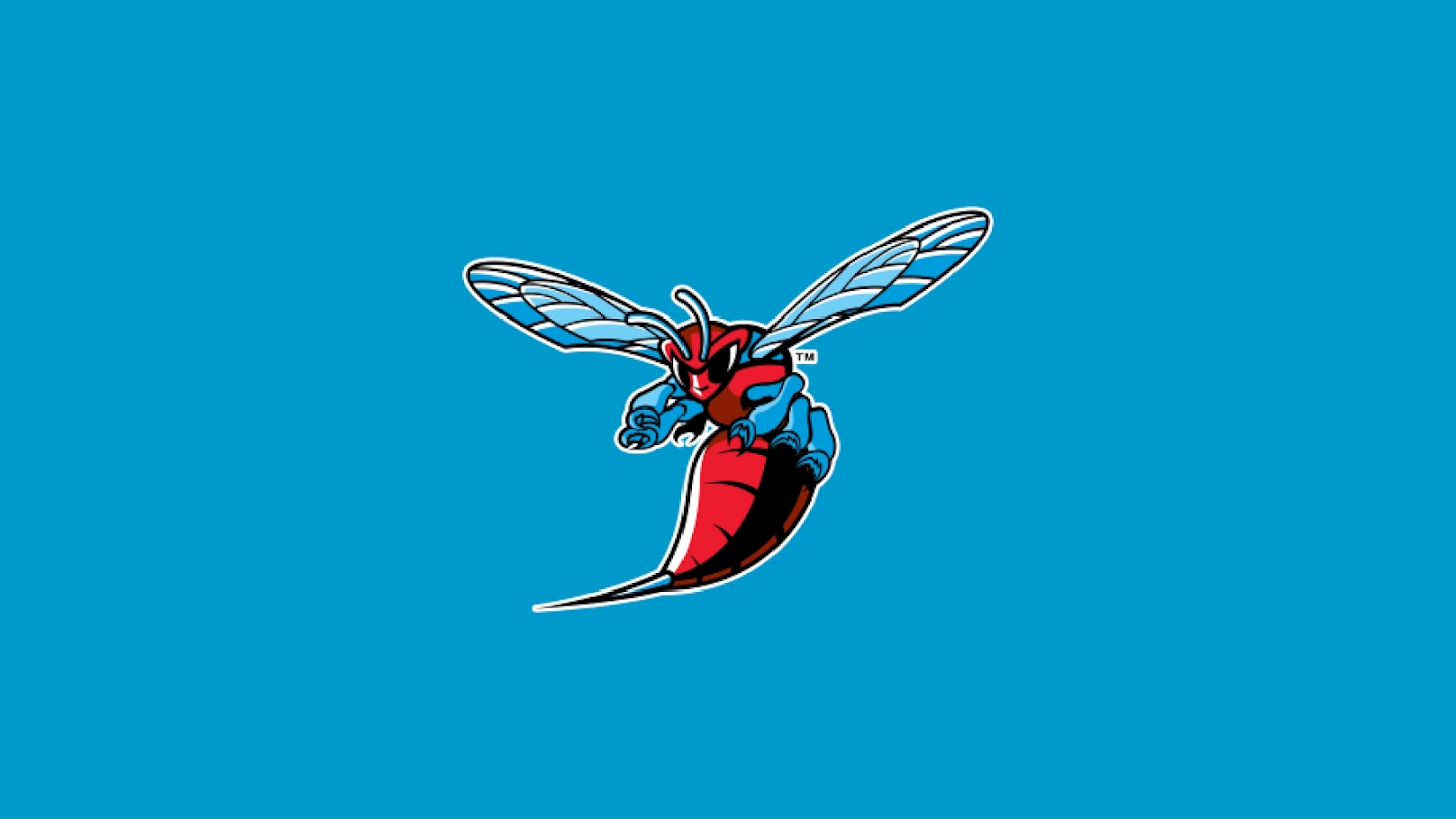 Watch Delaware State Hornets football live