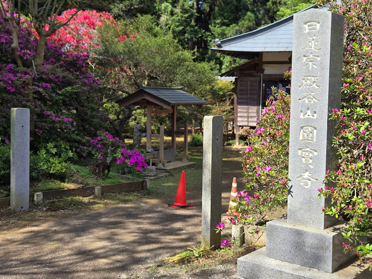 の投稿画像9枚目