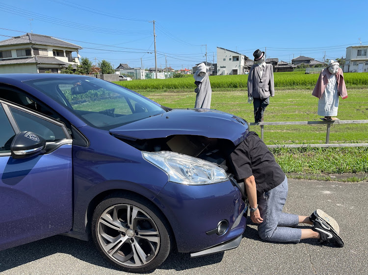 の投稿画像2枚目