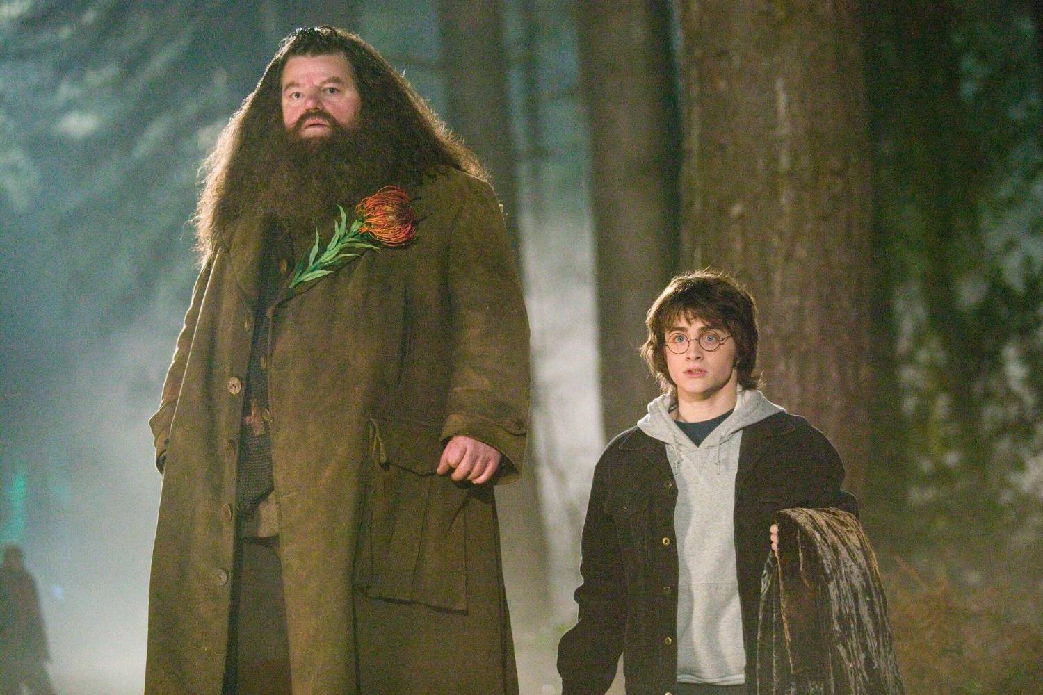 The Untold Truth About Hogwarts' Key Keeper: How Tall Is Robbie Coltrane?