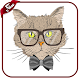 Download Cat wallpapers & cat pictures For PC Windows and Mac 1.0