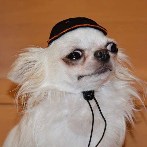 ゆうさまのプロフィール画像