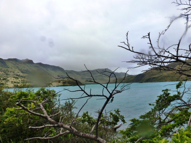 RECORRIDO EN AUTO POR EL PARQUE NACIONAL TORRES DEL PAINE. - CHILE, de Norte a Sur con desvío a Isla de Pascua (15)