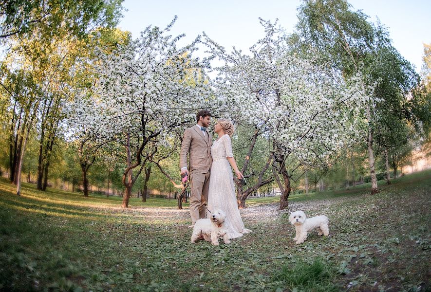 Jurufoto perkahwinan Galina Mescheryakova (photowedding). Foto pada 1 Jun 2017