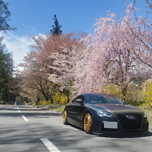 TT クーペ 2.0TFSI