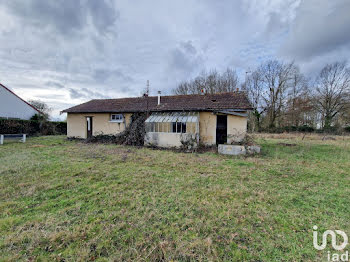 maison à Saint-Père-sur-Loire (45)