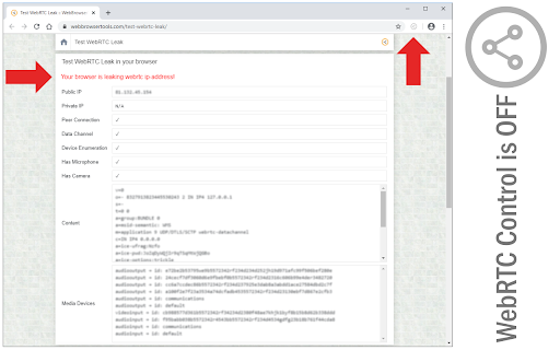 WebRTC Control