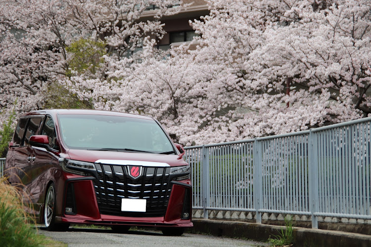 アルファードのダークレッドマイカメタリック・桜とコラボ・サクラと愛車・スピーカーアウター化進行中に関するカスタム事例の投稿画像3枚目