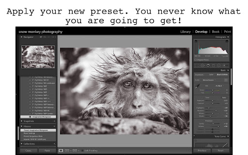 Lightroom Preset Generator