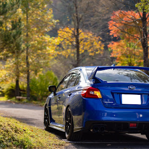 WRX STI VAB