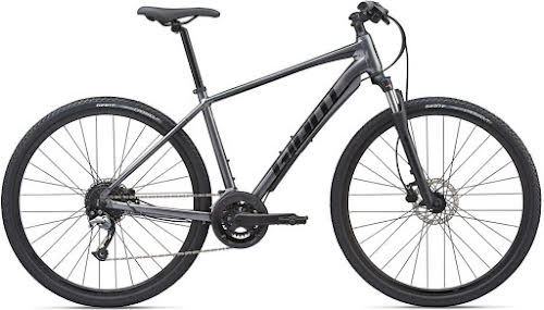 Giant 2020 Roam 2 Adventure Bike (CN)