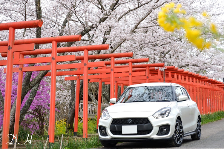 スイフトスポーツの桜とコラボ🌸・一眼レフ・ドライブ・サクラと愛車に関するカスタム事例の投稿画像2枚目