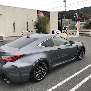 RC F USC10