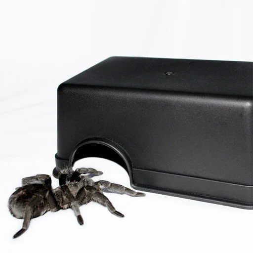 Reptile Hide Box Small Reptiles Pets Toys Gecko Snake Shelter House Food Water Bowl Cave Climbing Box Small Animal Hidea