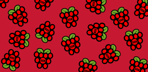 Raspberry SSH Custom Buttons