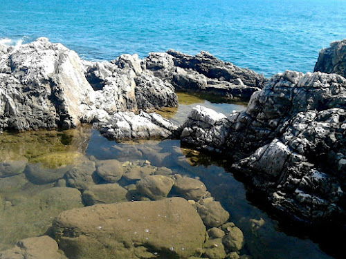 aquarium di fiorella_simonicca