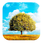 Cover Image of Download Awesome Land 2 Live wallpaper 1.7.8 APK
