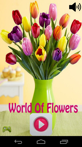 World Of Flowers