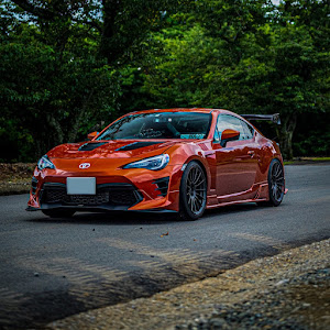 86 ZN6